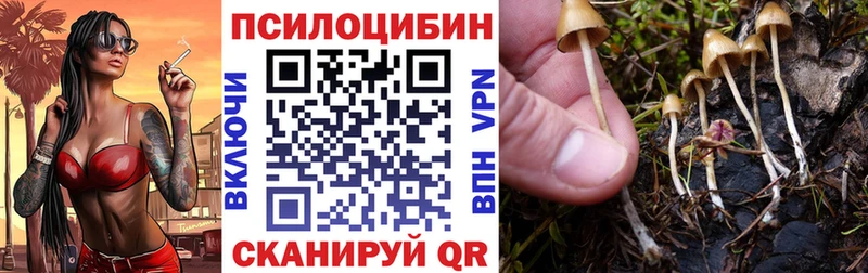 Псилоцибиновые грибы прущие грибы  Тюкалинск 